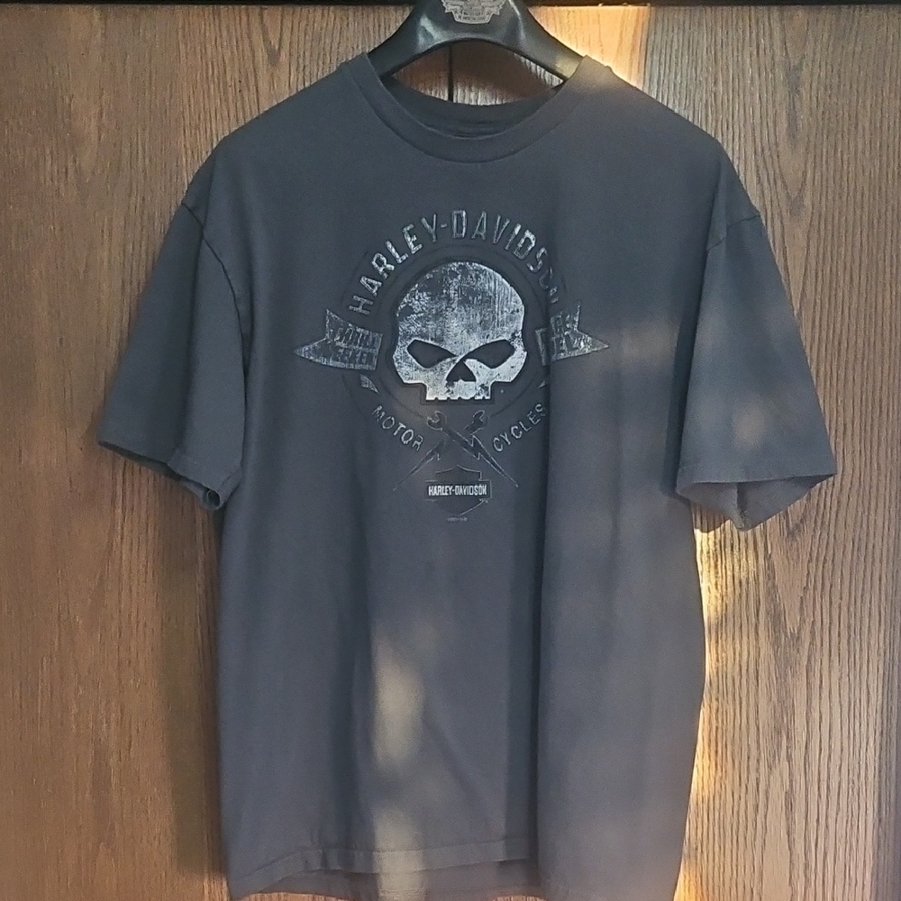 Harley-Davidson Mens Charcoal Skull Graphic XL Tee